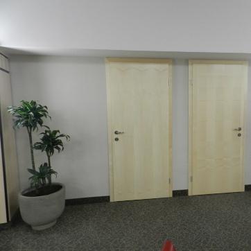 Ferestre si usi din lemn stratificat